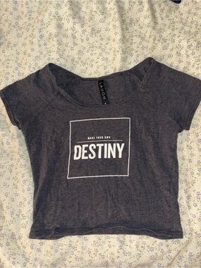 Joshua Perets Gray "Destiny" Graphic Crop Tee